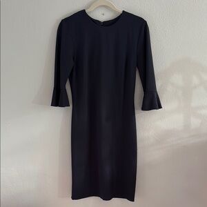 Banana republic, navy blue Dress with bell Sleeves